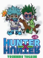 Hunter x Hunter. Tom 13