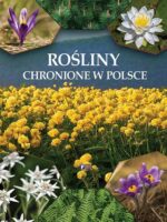 Rośliny chronione w Polsce